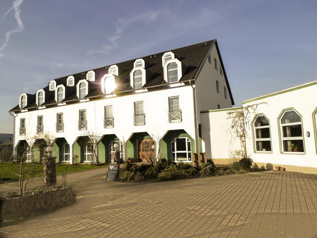 Hotel Zur Werra Шмалькальден Екстер'єр фото